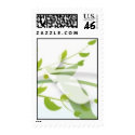 Nature Leaves Stamp
