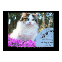Nature Life Lessons from a Cat ACEO Art Cards business cards