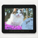 Nature Life Lessons from a Cat Mousepad