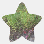 Nature Love GIFTS Green Flowers Sapling Purple FUN Star Sticker