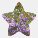 Nature Love GIFTS Green Flowers Sapling Purple FUN Star Stickers