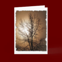 NATURE LOVER cards