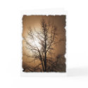 NATURE LOVER cards by RavenSpiritPrints NATURE LOVER cards