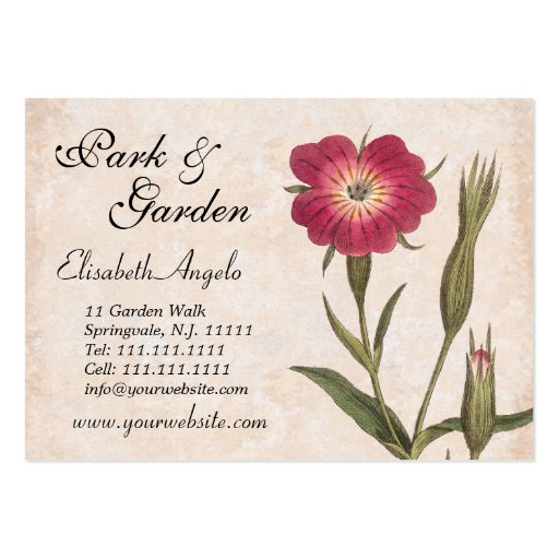 Nature Lover's Collage Wildflowers and Insects Business Cards (front side)