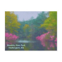 Nature Lovers'  Postcard postcards