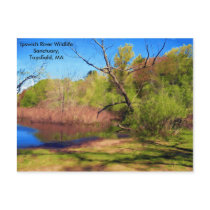 Nature Lover's Postcard