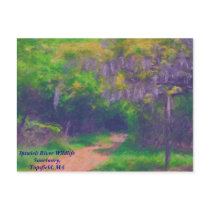 Nature Lover's Postcard