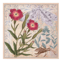 Nature Lover's Wall Art Wildflowers and Insects posters