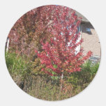 Nature Loves Flowers Trees Green fall Season color Round Sticker