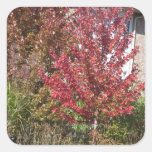 Nature Loves Flowers Trees Green fall Season color Square Stickers