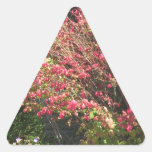 Nature Loves Flowers Trees Green fall Season color Triangle Stickers
