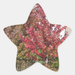 Nature Loves Flowers Trees Green fall Season color Star Stickers