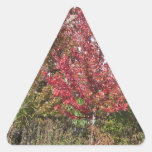 Nature Loves Flowers Trees Green fall Season color Triangle Sticker