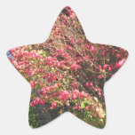 Nature Loves Flowers Trees Green fall Season color Star Stickers