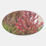 Nature Loves Flowers Trees Green fall Season color Oval Sticker