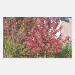 Nature Loves Flowers Trees Green fall Season color Rectangle Stickers
