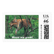 nature, Moms are great! postage by keate50801 nature, Moms are great! postage