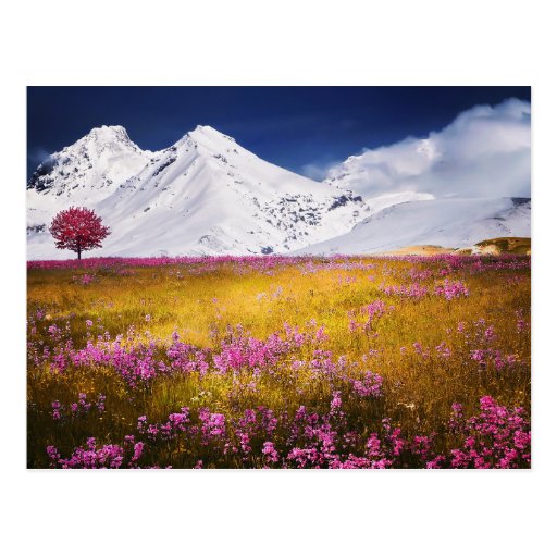 Nature Mountain Postcard | Zazzle