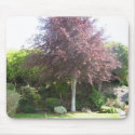 Nature mouse pad mousepads