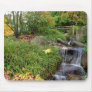 Nature mousepad