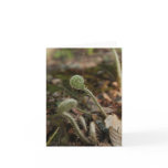 Nature note card