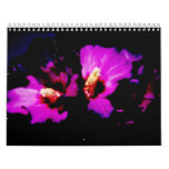 Nature of Ohio Wall Calendar