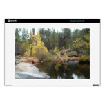 Nature of Yosemite skins