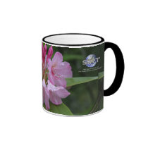 NATURE OREGON mugs