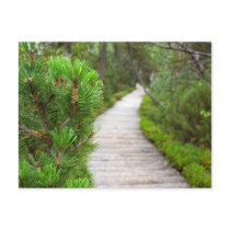 Nature Path postcards by AryadnaDesign Nature Path postcards