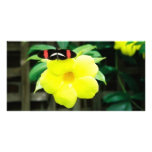 Nature Personalized Photo Card