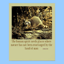 NATURE  PHILOSOPHY posters