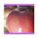 Nature Photo Assignment magnets