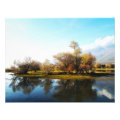nature photoenlargement