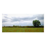 nature photoenlargement