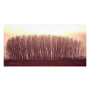 nature photoenlargement