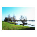 nature photoenlargement