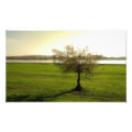 nature photoenlargement