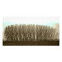 nature photoenlargement