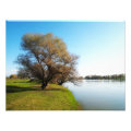 nature photoenlargement
