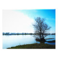 nature photoenlargement
