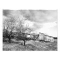 nature photoenlargement