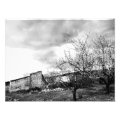 nature photoenlargement