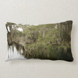 Nature Photograph Blue Springs State Park pillows