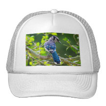 Nature Photography Shy Blue Jay Apparel Gifts Trucker Hat