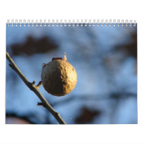 Nature Photos Wall Calendar