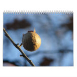 Nature Photos Wall Calendar