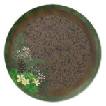 Nature Pine Forest & Shamrocks Plate