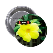 Nature Pins