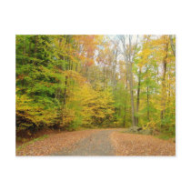nature postcards