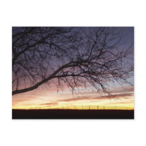 nature postcards